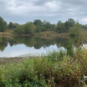 Meet your Posher, Laurie